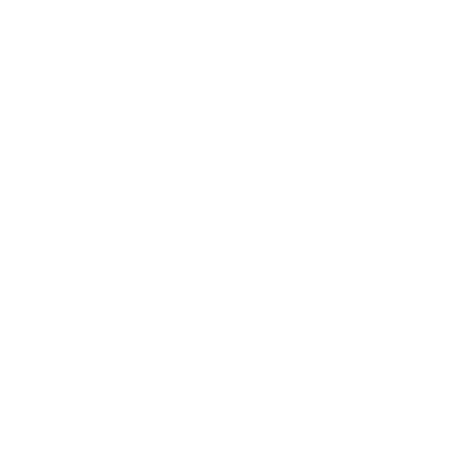 capital coaches conference white reverse logo
